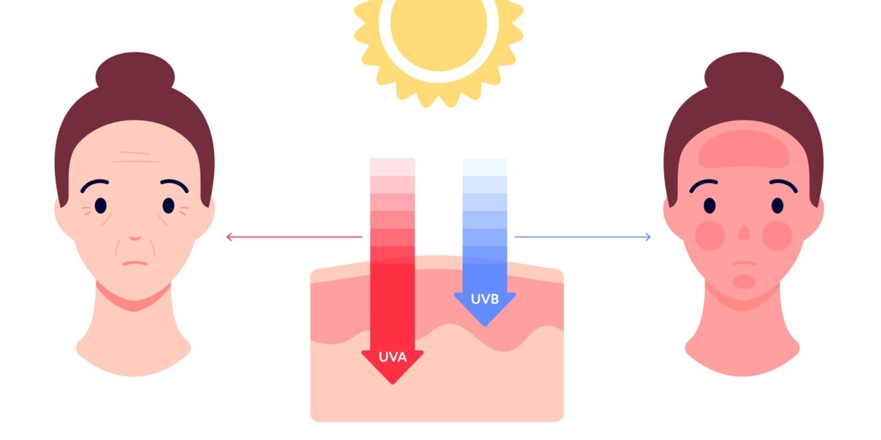 The effects of UV radiation on the skin